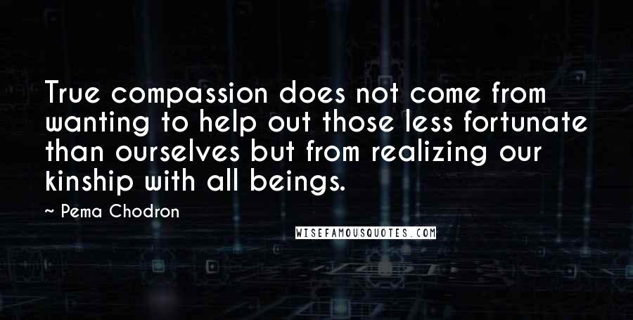 Pema Chodron Quotes: True compassion does not come from wanting to help out those less fortunate than ourselves but from realizing our kinship with all beings.