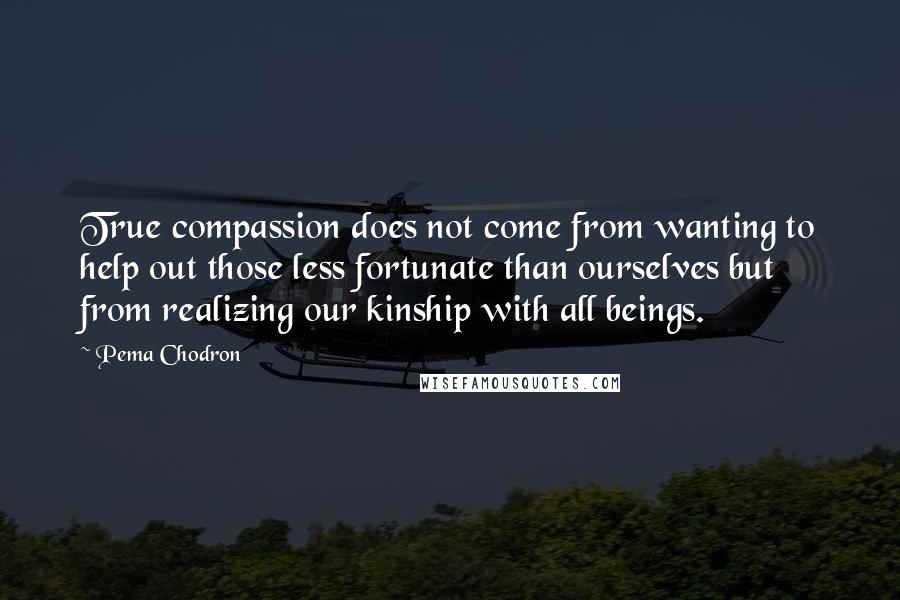 Pema Chodron Quotes: True compassion does not come from wanting to help out those less fortunate than ourselves but from realizing our kinship with all beings.