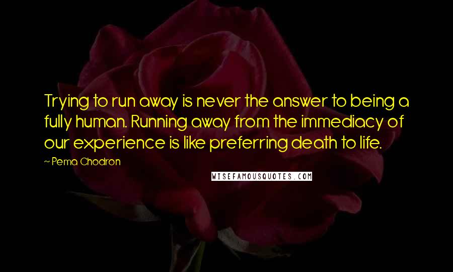 Pema Chodron Quotes: Trying to run away is never the answer to being a fully human. Running away from the immediacy of our experience is like preferring death to life.