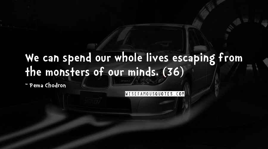 Pema Chodron Quotes: We can spend our whole lives escaping from the monsters of our minds. (36)