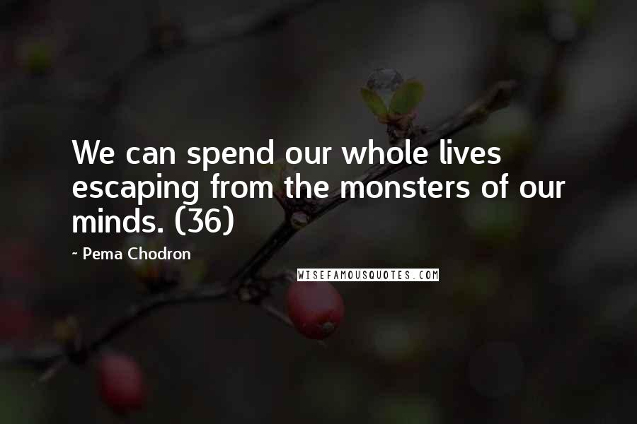 Pema Chodron Quotes: We can spend our whole lives escaping from the monsters of our minds. (36)