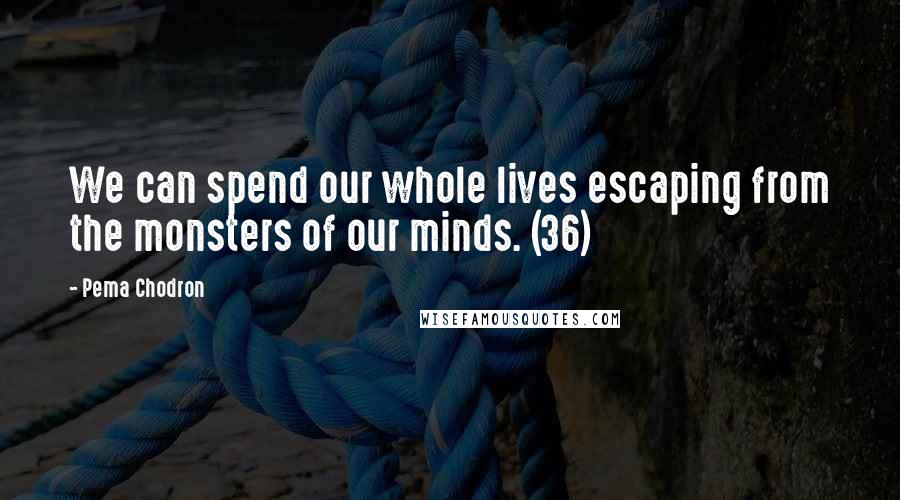 Pema Chodron Quotes: We can spend our whole lives escaping from the monsters of our minds. (36)