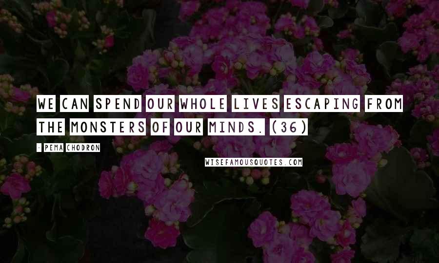 Pema Chodron Quotes: We can spend our whole lives escaping from the monsters of our minds. (36)