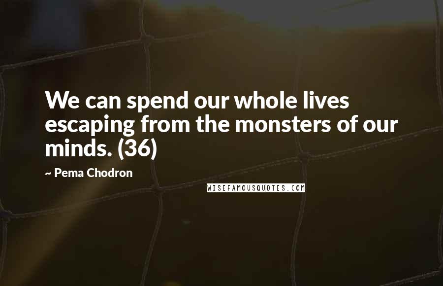 Pema Chodron Quotes: We can spend our whole lives escaping from the monsters of our minds. (36)