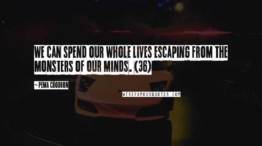 Pema Chodron Quotes: We can spend our whole lives escaping from the monsters of our minds. (36)