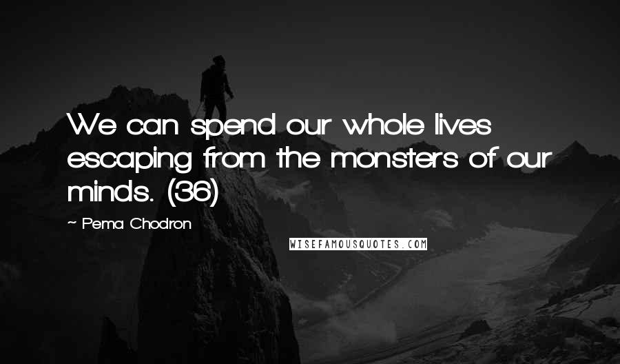 Pema Chodron Quotes: We can spend our whole lives escaping from the monsters of our minds. (36)