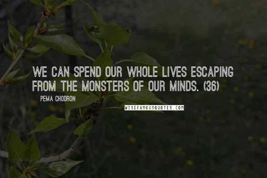 Pema Chodron Quotes: We can spend our whole lives escaping from the monsters of our minds. (36)