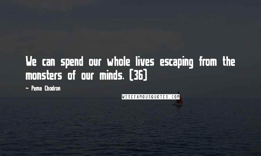 Pema Chodron Quotes: We can spend our whole lives escaping from the monsters of our minds. (36)