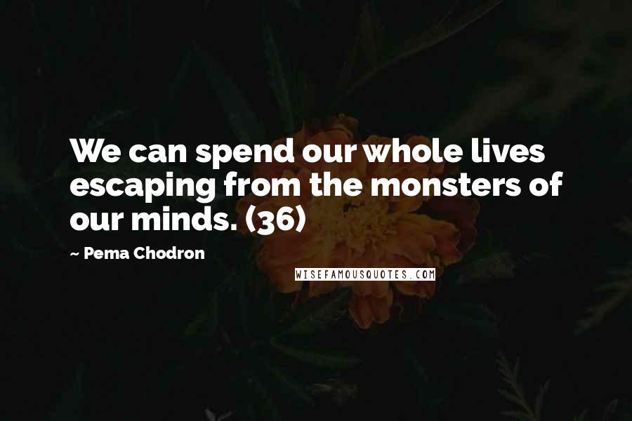 Pema Chodron Quotes: We can spend our whole lives escaping from the monsters of our minds. (36)