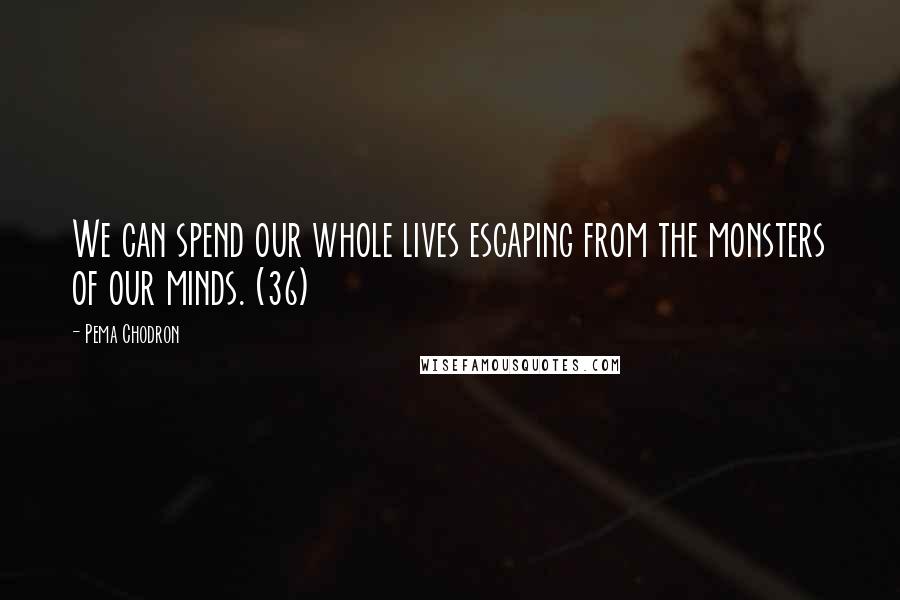 Pema Chodron Quotes: We can spend our whole lives escaping from the monsters of our minds. (36)