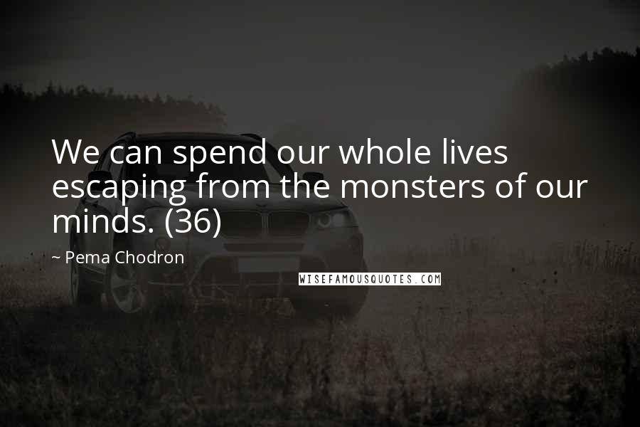 Pema Chodron Quotes: We can spend our whole lives escaping from the monsters of our minds. (36)