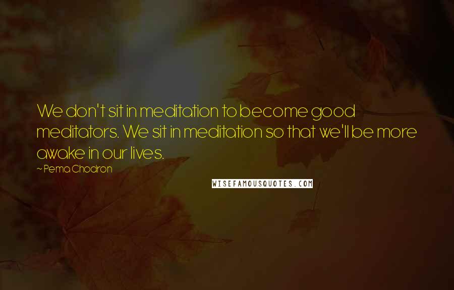 Pema Chodron Quotes: We don't sit in meditation to become good meditators. We sit in meditation so that we'll be more awake in our lives.