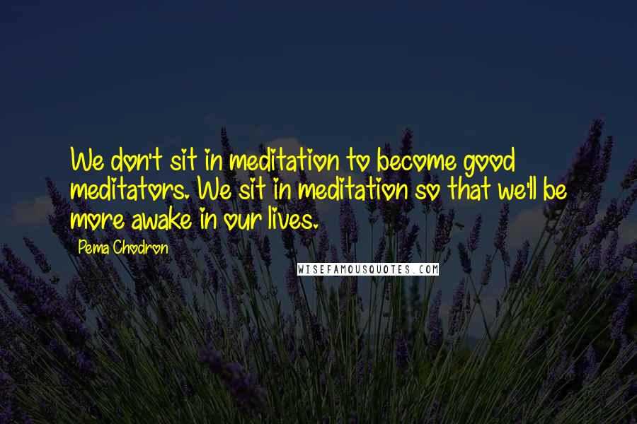 Pema Chodron Quotes: We don't sit in meditation to become good meditators. We sit in meditation so that we'll be more awake in our lives.