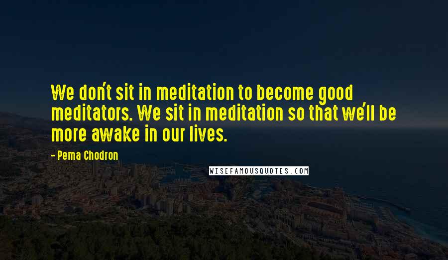 Pema Chodron Quotes: We don't sit in meditation to become good meditators. We sit in meditation so that we'll be more awake in our lives.