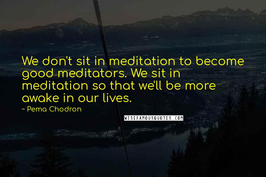 Pema Chodron Quotes: We don't sit in meditation to become good meditators. We sit in meditation so that we'll be more awake in our lives.