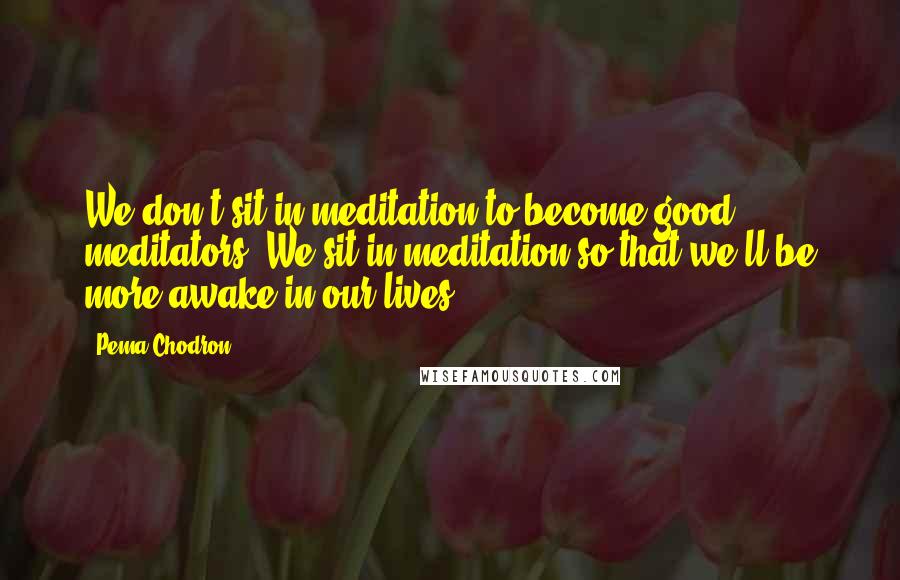 Pema Chodron Quotes: We don't sit in meditation to become good meditators. We sit in meditation so that we'll be more awake in our lives.