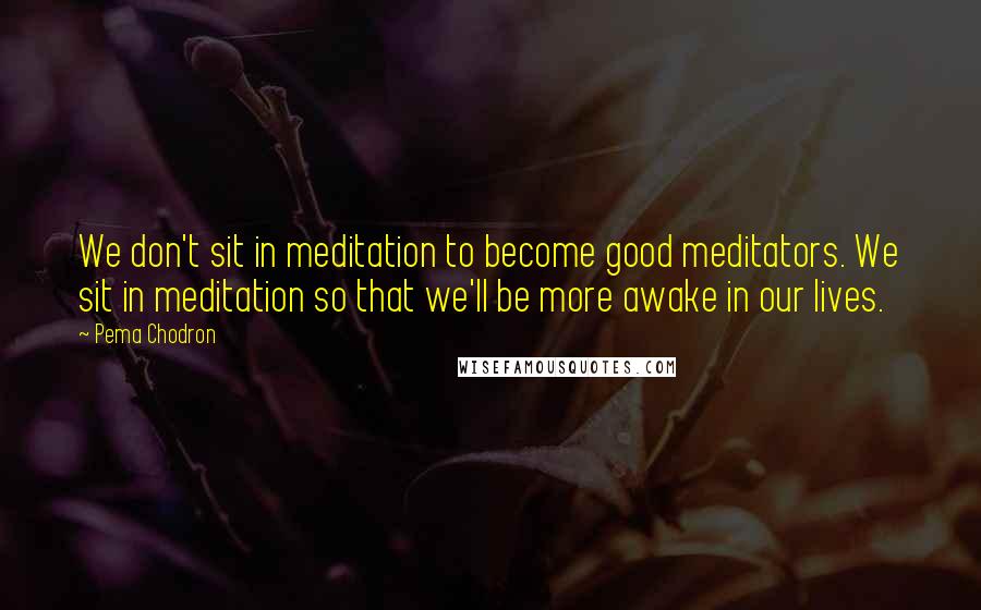 Pema Chodron Quotes: We don't sit in meditation to become good meditators. We sit in meditation so that we'll be more awake in our lives.