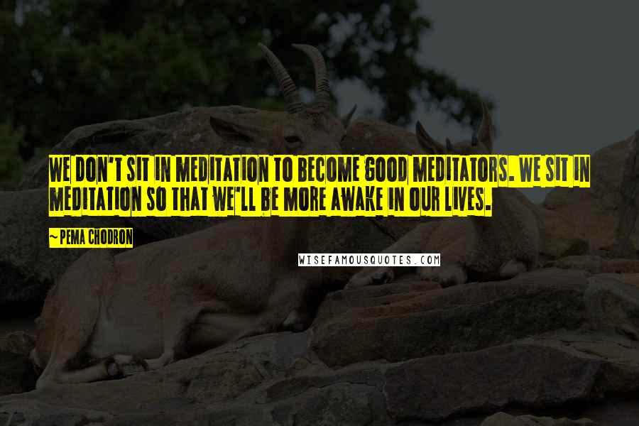 Pema Chodron Quotes: We don't sit in meditation to become good meditators. We sit in meditation so that we'll be more awake in our lives.