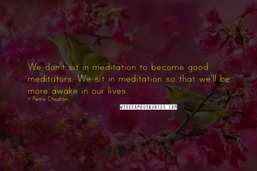 Pema Chodron Quotes: We don't sit in meditation to become good meditators. We sit in meditation so that we'll be more awake in our lives.