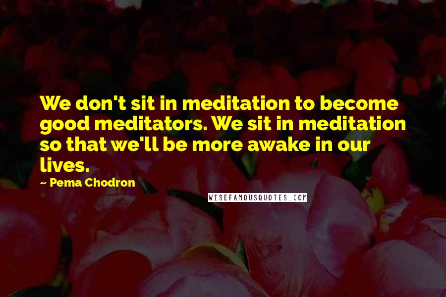 Pema Chodron Quotes: We don't sit in meditation to become good meditators. We sit in meditation so that we'll be more awake in our lives.
