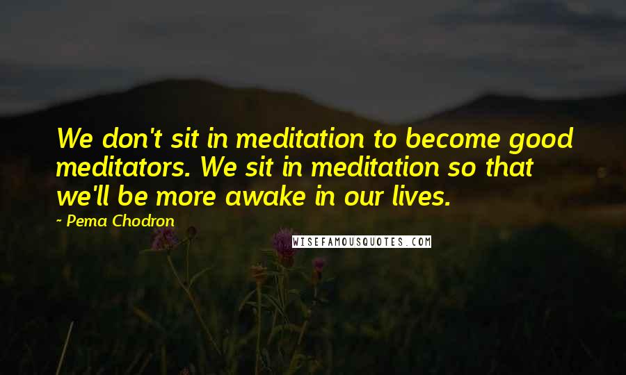 Pema Chodron Quotes: We don't sit in meditation to become good meditators. We sit in meditation so that we'll be more awake in our lives.