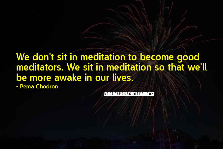 Pema Chodron Quotes: We don't sit in meditation to become good meditators. We sit in meditation so that we'll be more awake in our lives.