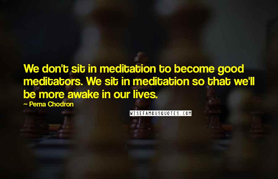 Pema Chodron Quotes: We don't sit in meditation to become good meditators. We sit in meditation so that we'll be more awake in our lives.