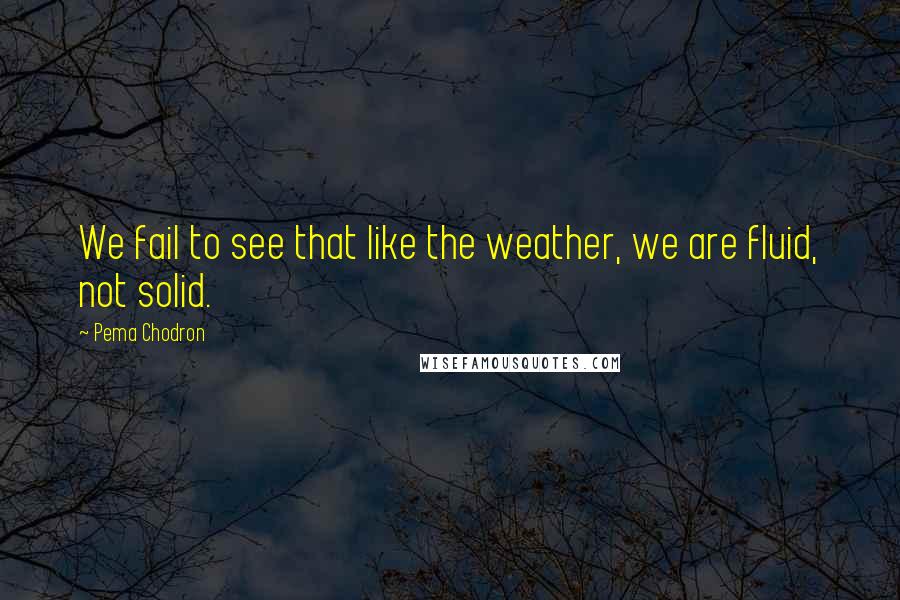 Pema Chodron Quotes: We fail to see that like the weather, we are fluid, not solid.
