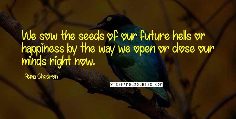 Pema Chodron Quotes: We sow the seeds of our future hells or happiness by the way we open or close our minds right now.