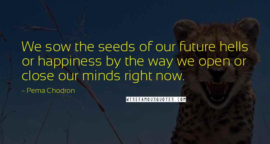 Pema Chodron Quotes: We sow the seeds of our future hells or happiness by the way we open or close our minds right now.