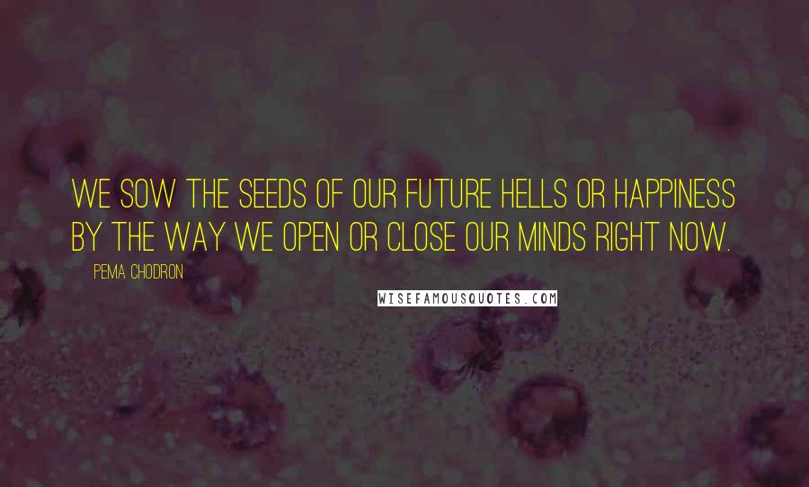 Pema Chodron Quotes: We sow the seeds of our future hells or happiness by the way we open or close our minds right now.
