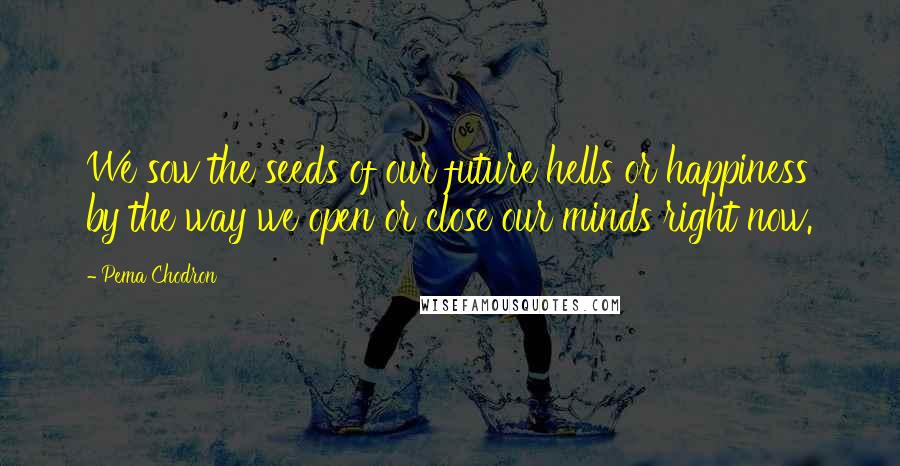 Pema Chodron Quotes: We sow the seeds of our future hells or happiness by the way we open or close our minds right now.