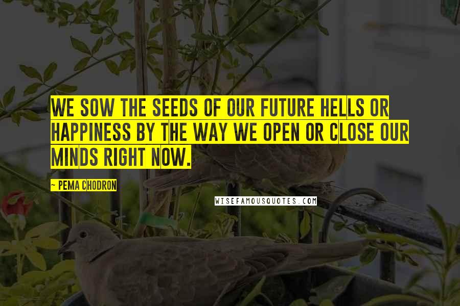 Pema Chodron Quotes: We sow the seeds of our future hells or happiness by the way we open or close our minds right now.