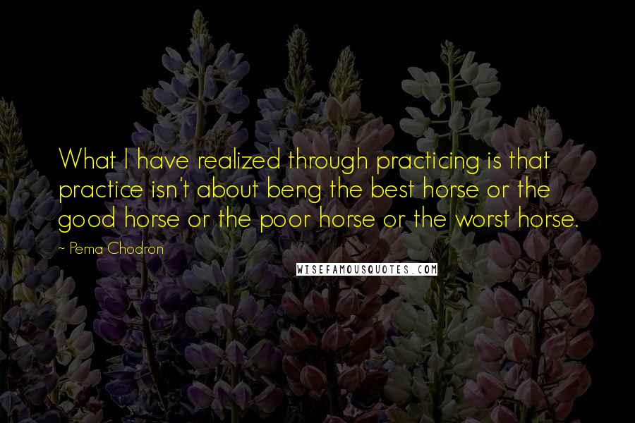 Pema Chodron Quotes: What I have realized through practicing is that practice isn't about beng the best horse or the good horse or the poor horse or the worst horse.