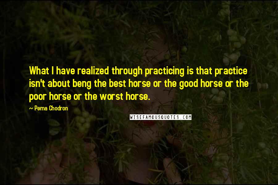 Pema Chodron Quotes: What I have realized through practicing is that practice isn't about beng the best horse or the good horse or the poor horse or the worst horse.