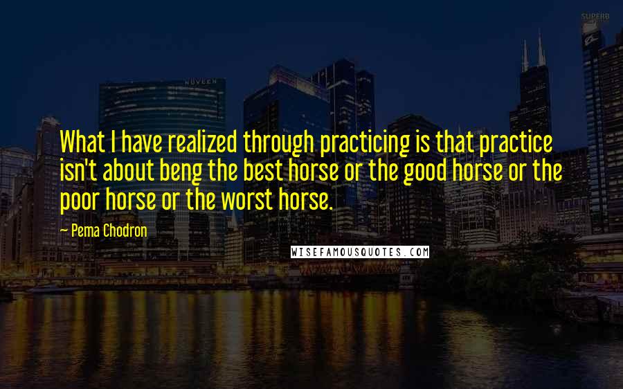 Pema Chodron Quotes: What I have realized through practicing is that practice isn't about beng the best horse or the good horse or the poor horse or the worst horse.