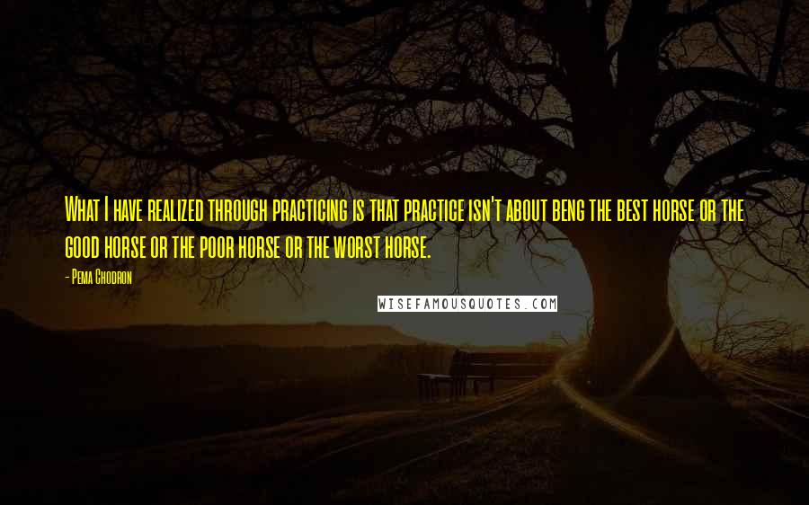 Pema Chodron Quotes: What I have realized through practicing is that practice isn't about beng the best horse or the good horse or the poor horse or the worst horse.