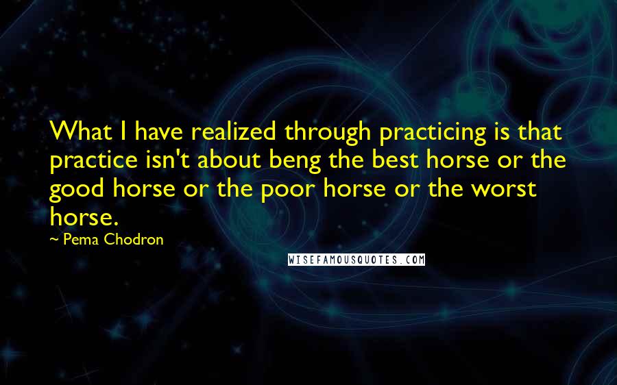 Pema Chodron Quotes: What I have realized through practicing is that practice isn't about beng the best horse or the good horse or the poor horse or the worst horse.