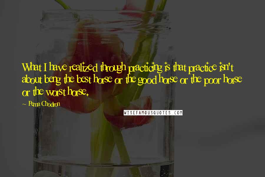 Pema Chodron Quotes: What I have realized through practicing is that practice isn't about beng the best horse or the good horse or the poor horse or the worst horse.