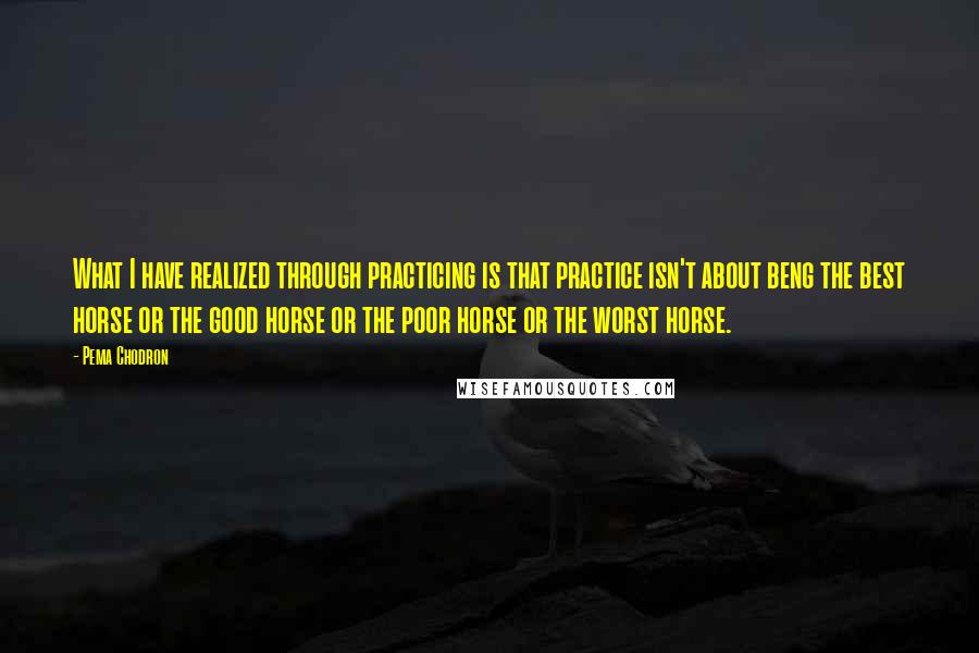 Pema Chodron Quotes: What I have realized through practicing is that practice isn't about beng the best horse or the good horse or the poor horse or the worst horse.