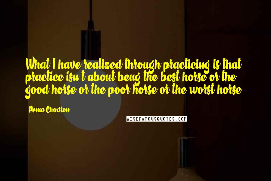 Pema Chodron Quotes: What I have realized through practicing is that practice isn't about beng the best horse or the good horse or the poor horse or the worst horse.