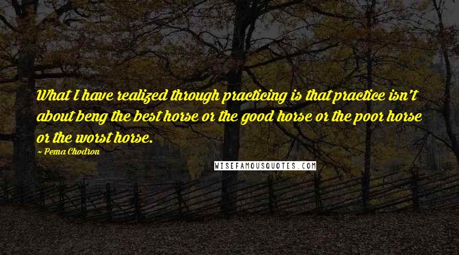 Pema Chodron Quotes: What I have realized through practicing is that practice isn't about beng the best horse or the good horse or the poor horse or the worst horse.