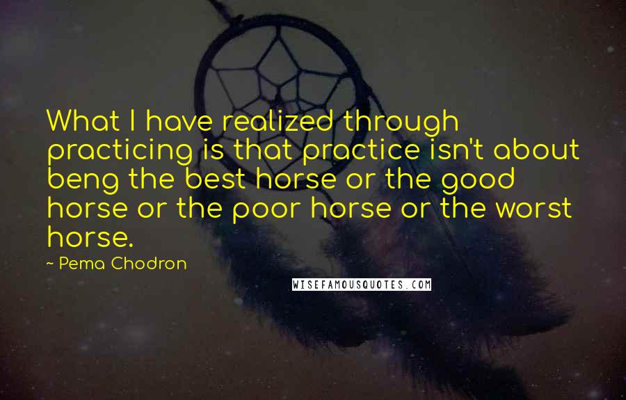 Pema Chodron Quotes: What I have realized through practicing is that practice isn't about beng the best horse or the good horse or the poor horse or the worst horse.