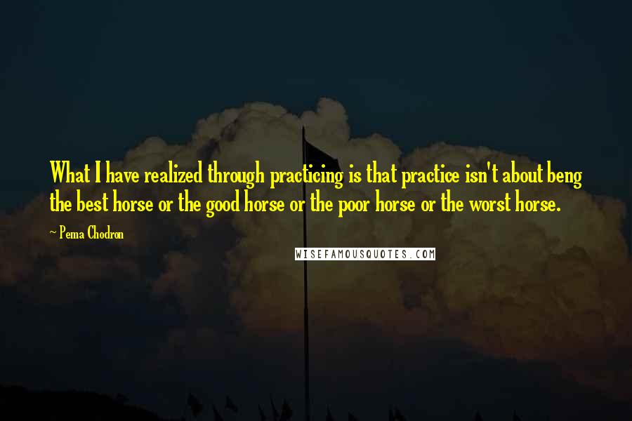 Pema Chodron Quotes: What I have realized through practicing is that practice isn't about beng the best horse or the good horse or the poor horse or the worst horse.