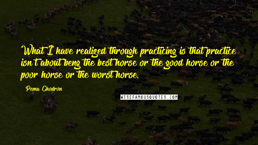 Pema Chodron Quotes: What I have realized through practicing is that practice isn't about beng the best horse or the good horse or the poor horse or the worst horse.