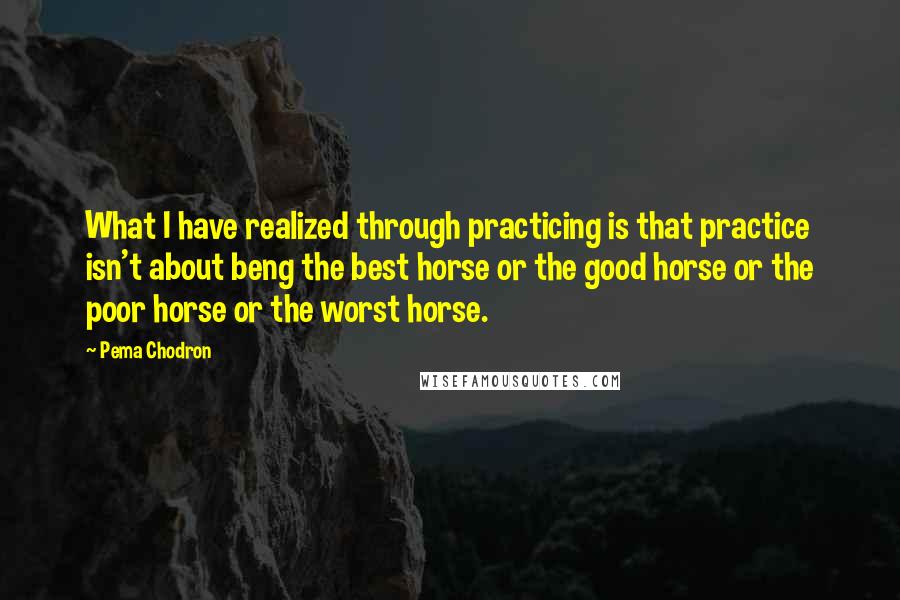 Pema Chodron Quotes: What I have realized through practicing is that practice isn't about beng the best horse or the good horse or the poor horse or the worst horse.