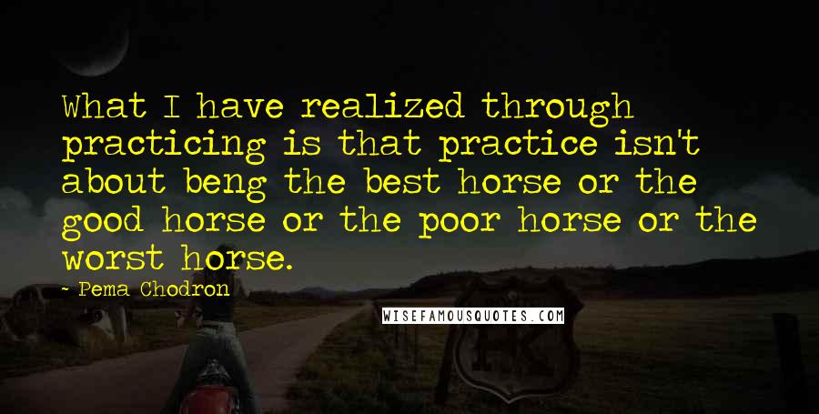 Pema Chodron Quotes: What I have realized through practicing is that practice isn't about beng the best horse or the good horse or the poor horse or the worst horse.