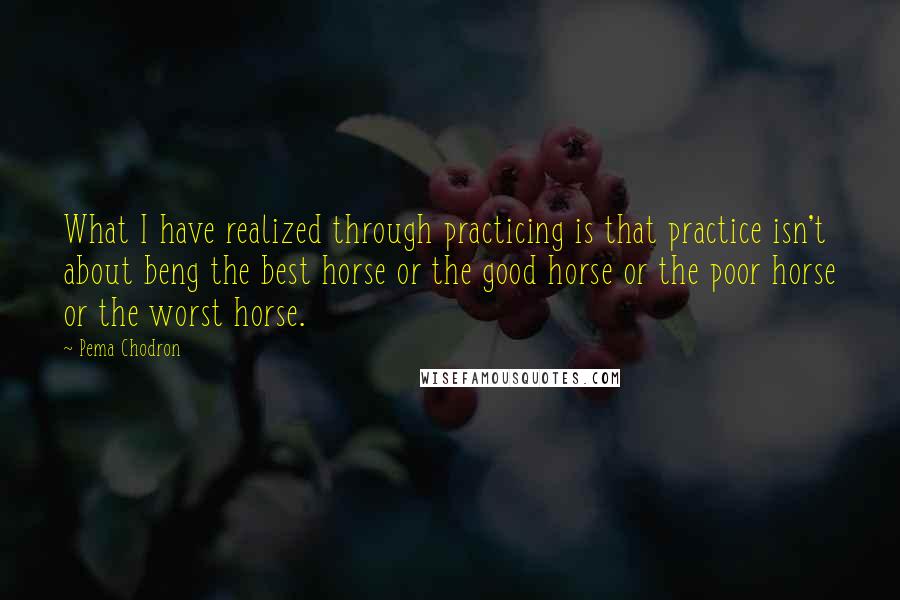 Pema Chodron Quotes: What I have realized through practicing is that practice isn't about beng the best horse or the good horse or the poor horse or the worst horse.