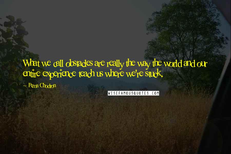 Pema Chodron Quotes: What we call obstacles are really the way the world and our entire experience teach us where we're stuck.
