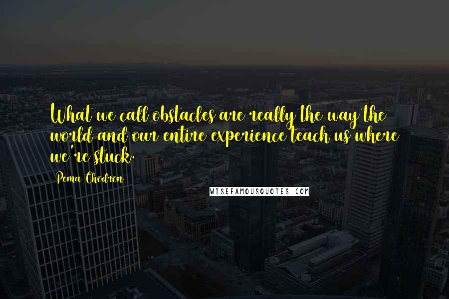 Pema Chodron Quotes: What we call obstacles are really the way the world and our entire experience teach us where we're stuck.